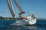 yemaya gbr1684l whyw22 sun 800_2061yi